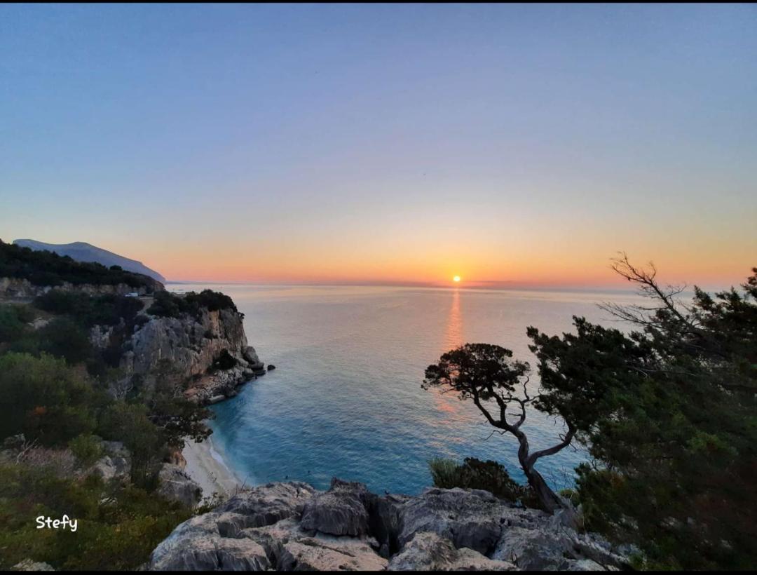 Appartamenti Manuela Cala Gonone Dış mekan fotoğraf